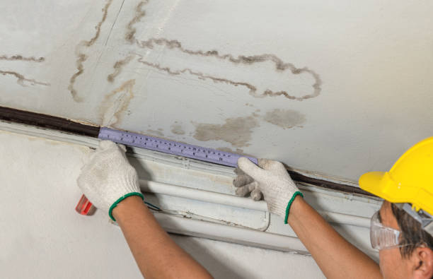 Reliable Water Damage contractor in Frenchtown, NJ by Water Damage Irwin